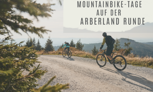 Mountainbike Tage ARBERLAND Runde. Foto: Kreisentwicklung Landkreis Regen / Tourismus- & Freizeitförderung